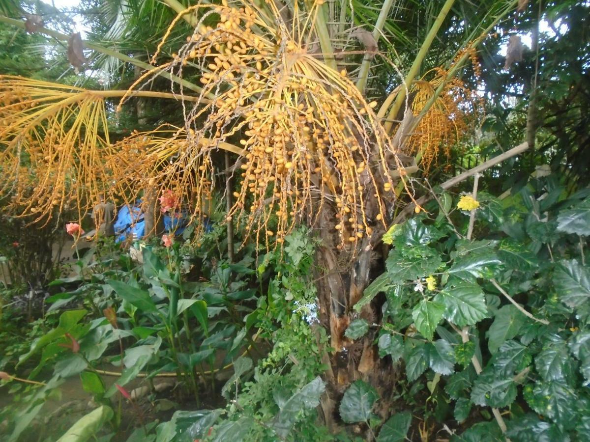 Themi Valley Eco And Cultural Tourism Homestay Arusha Exterior photo